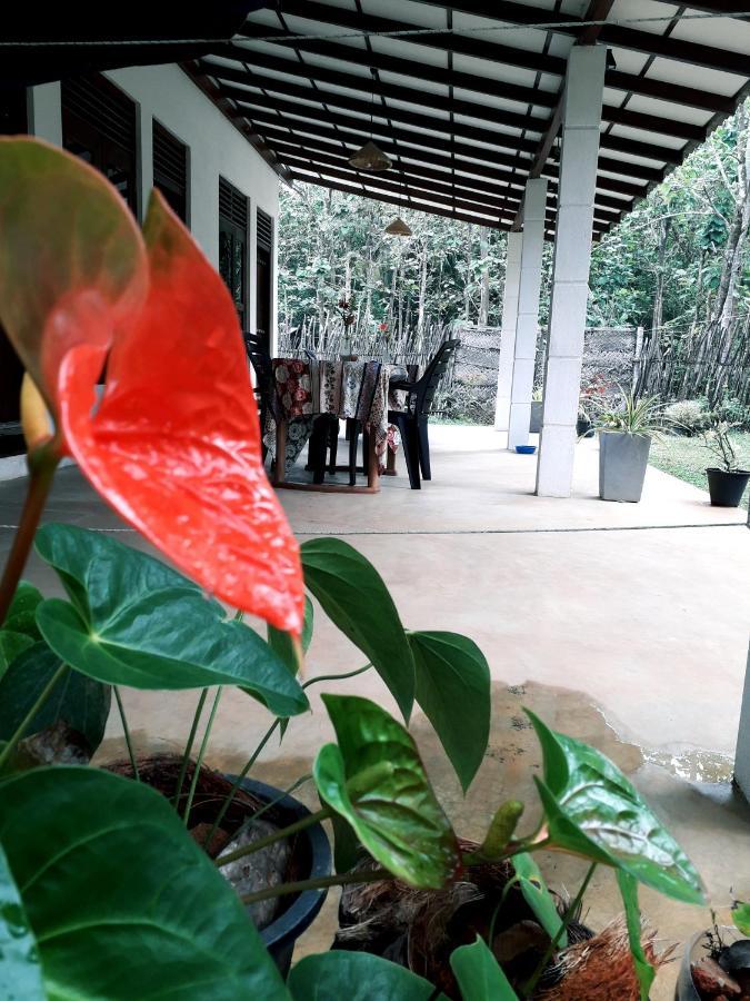 Cashew Villa Hiriketiya 迪克韦勒 外观 照片