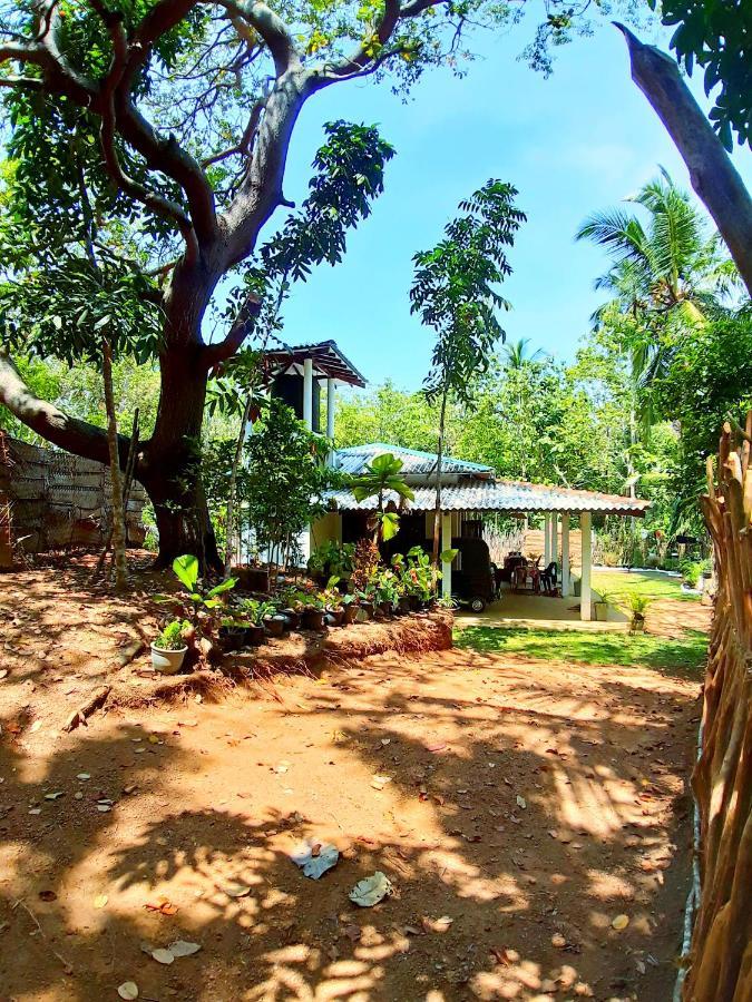Cashew Villa Hiriketiya 迪克韦勒 外观 照片